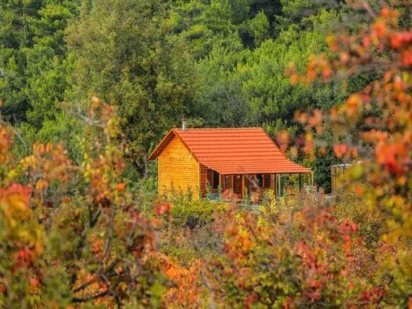 lebanon.rental 311595521 1552930465159113 8414035088541984349 n