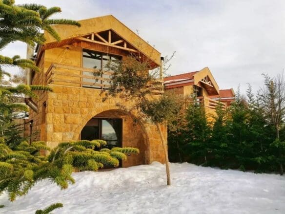 lebanon.rental 331980386 219609857189345 608633724068936157 n