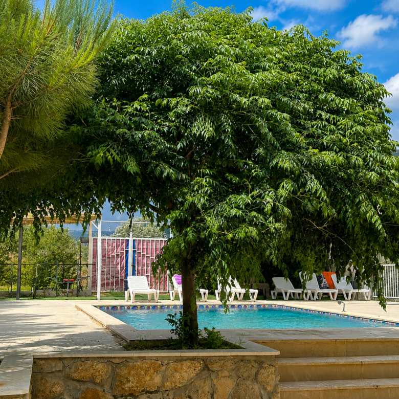 Private Guesthouse in Mount Lebanon