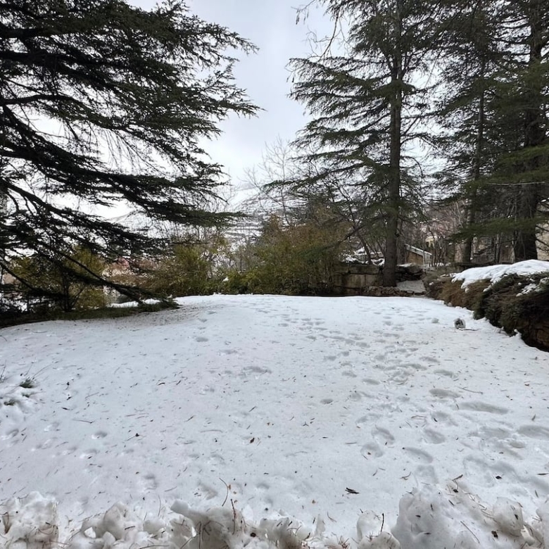 Snow-View 3BR Chalet in Faraya – Near Mzaar